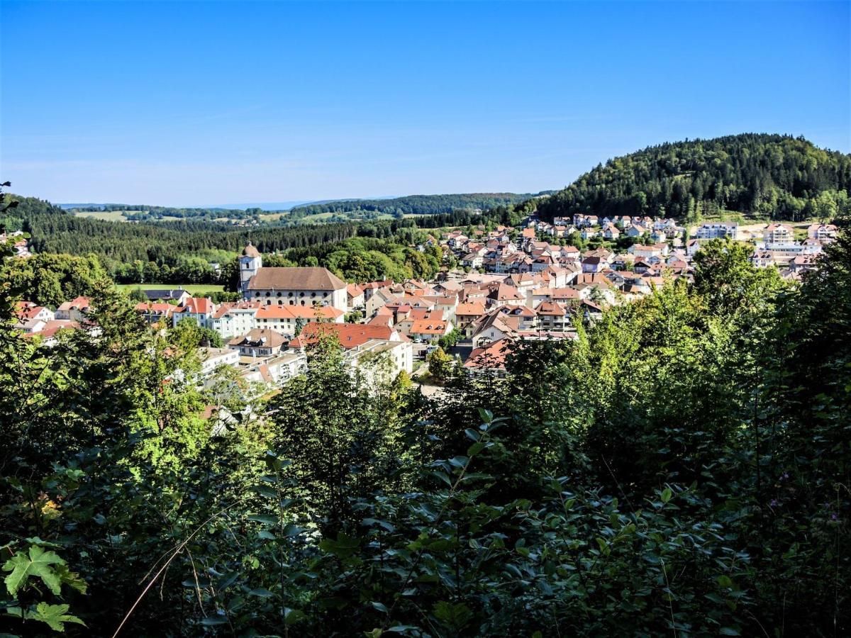 Gite Des Bouleaux Maîche Buitenkant foto